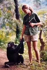 20160620Jane Goodall.jpg